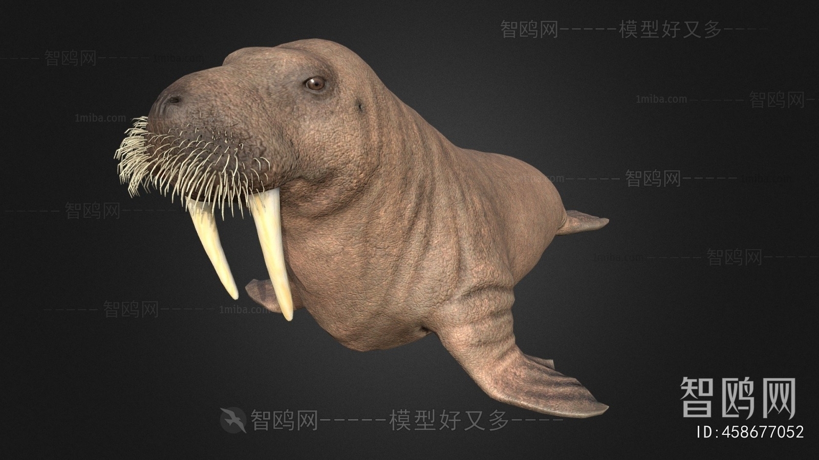 Modern Mammal