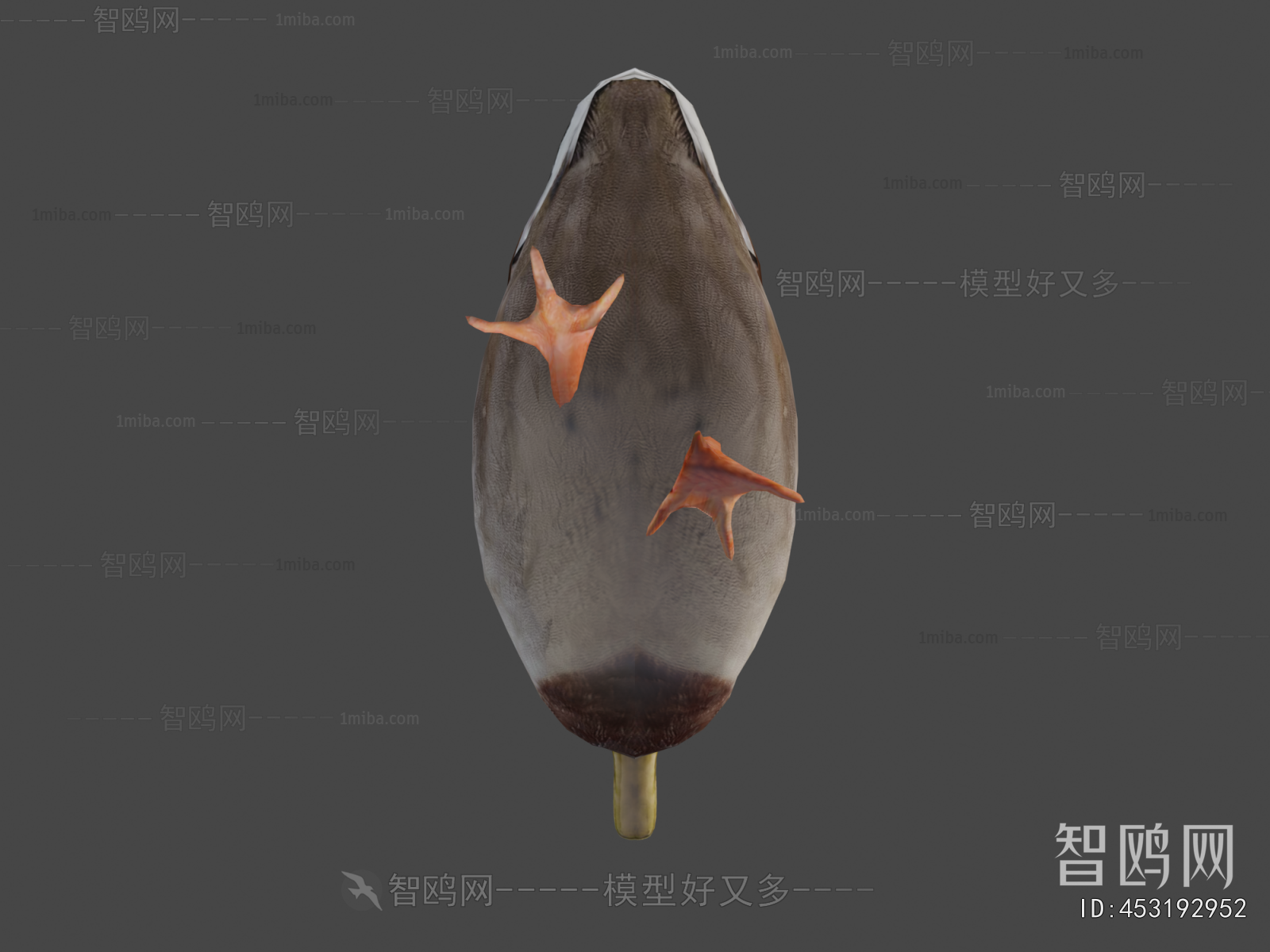 Modern Poultry Animal