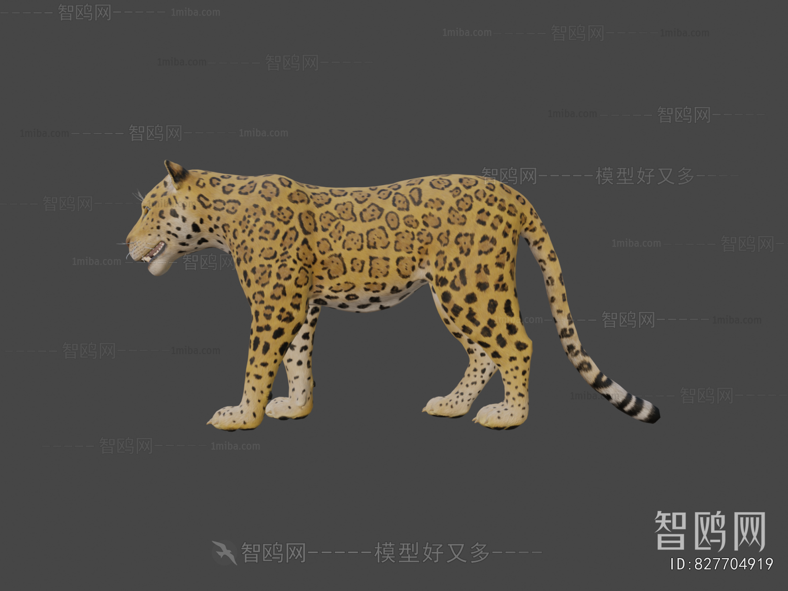 Modern Mammal