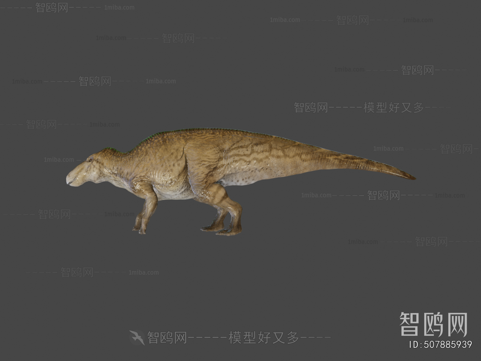Modern Animal