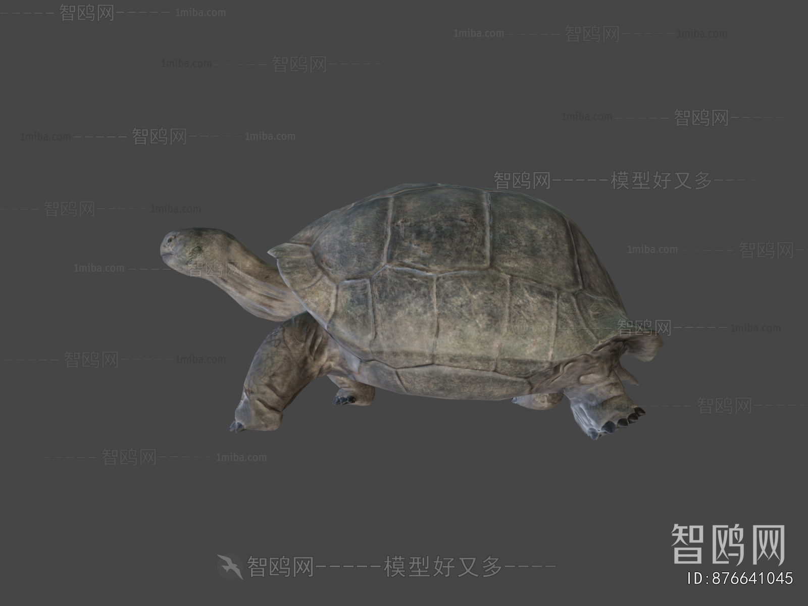 Modern Reptile