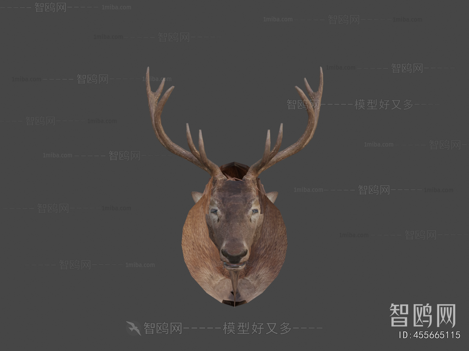 Modern Mammal
