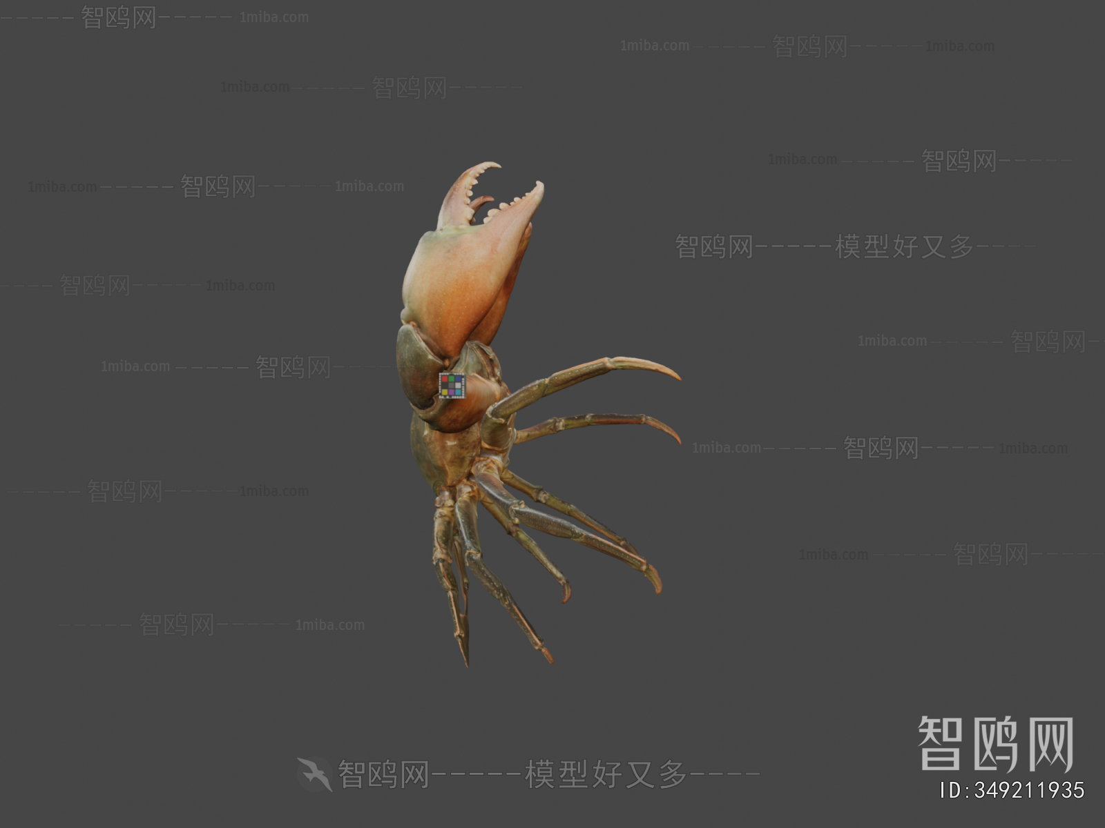 Modern Animal