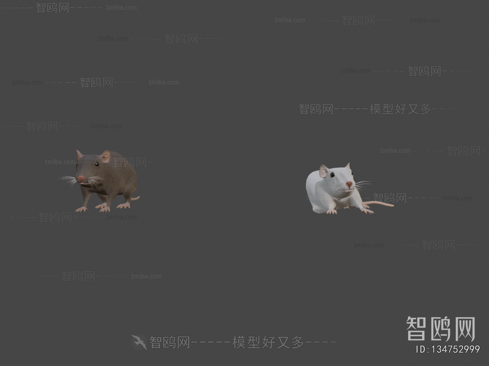 Modern Mammal