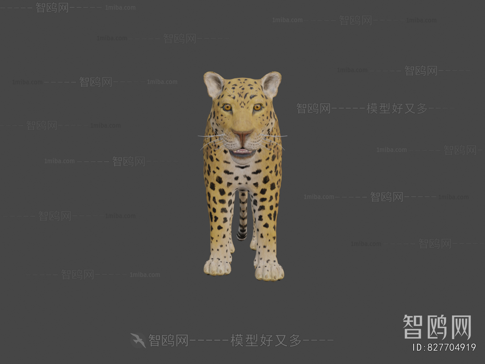 Modern Mammal
