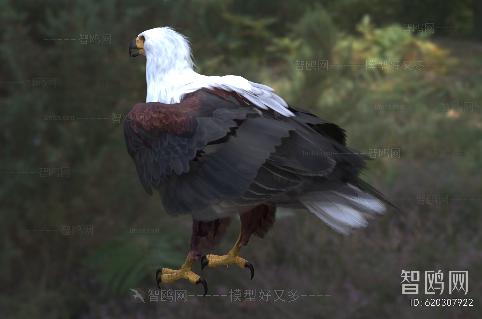 Modern Flying Animals