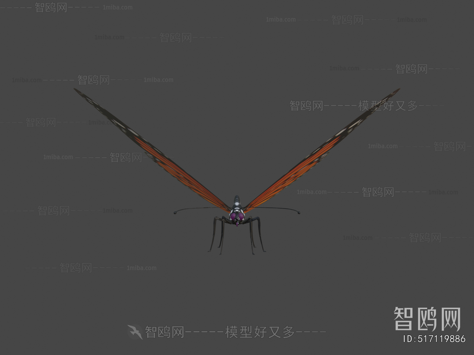 Modern Animal