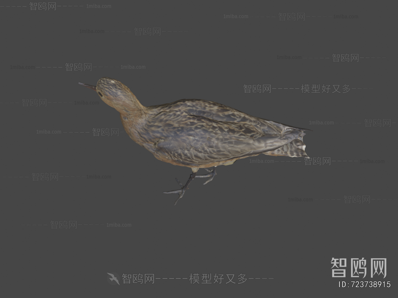 Modern Animal