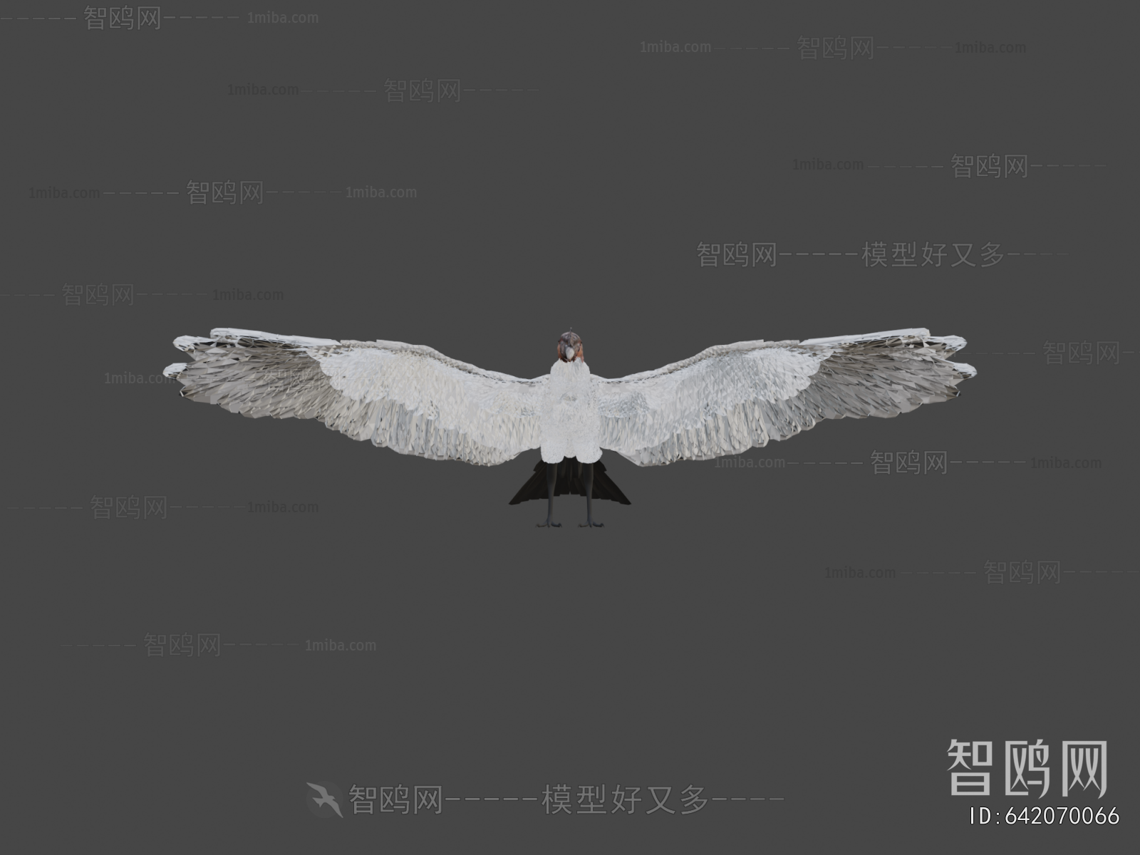 Modern Flying Animals