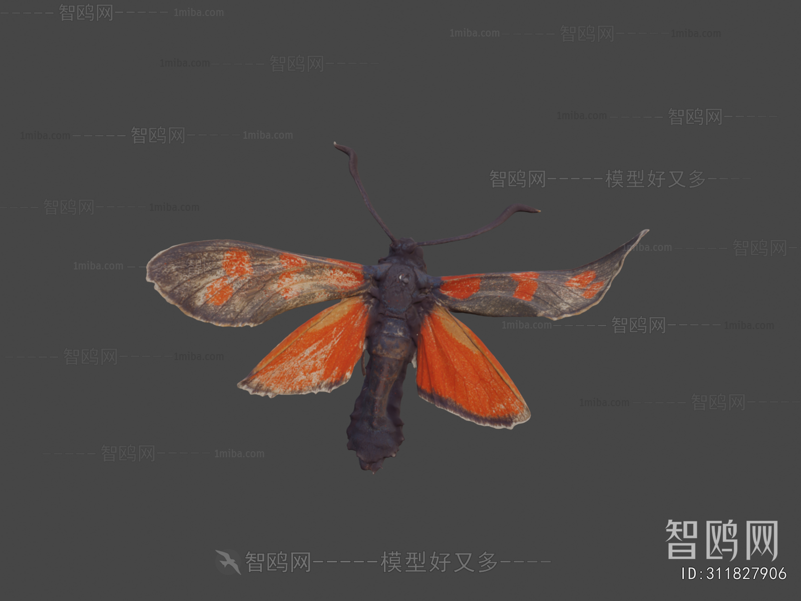 Modern Animal