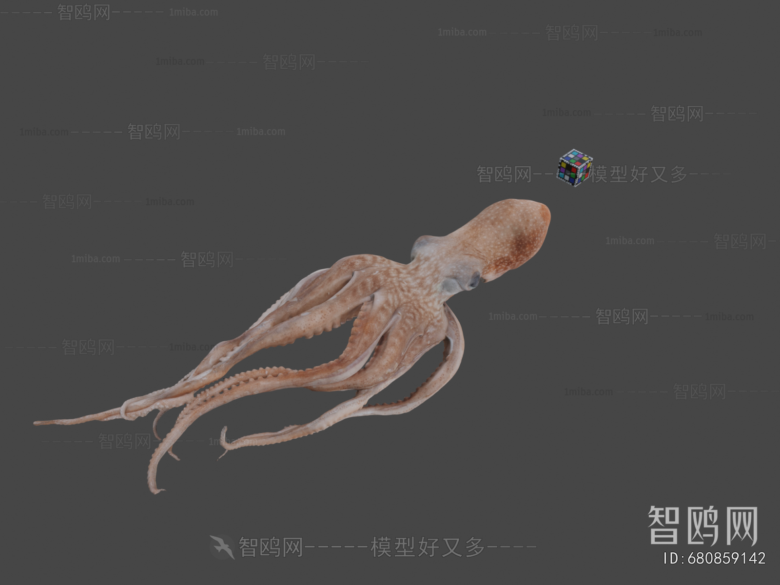 Modern Animal
