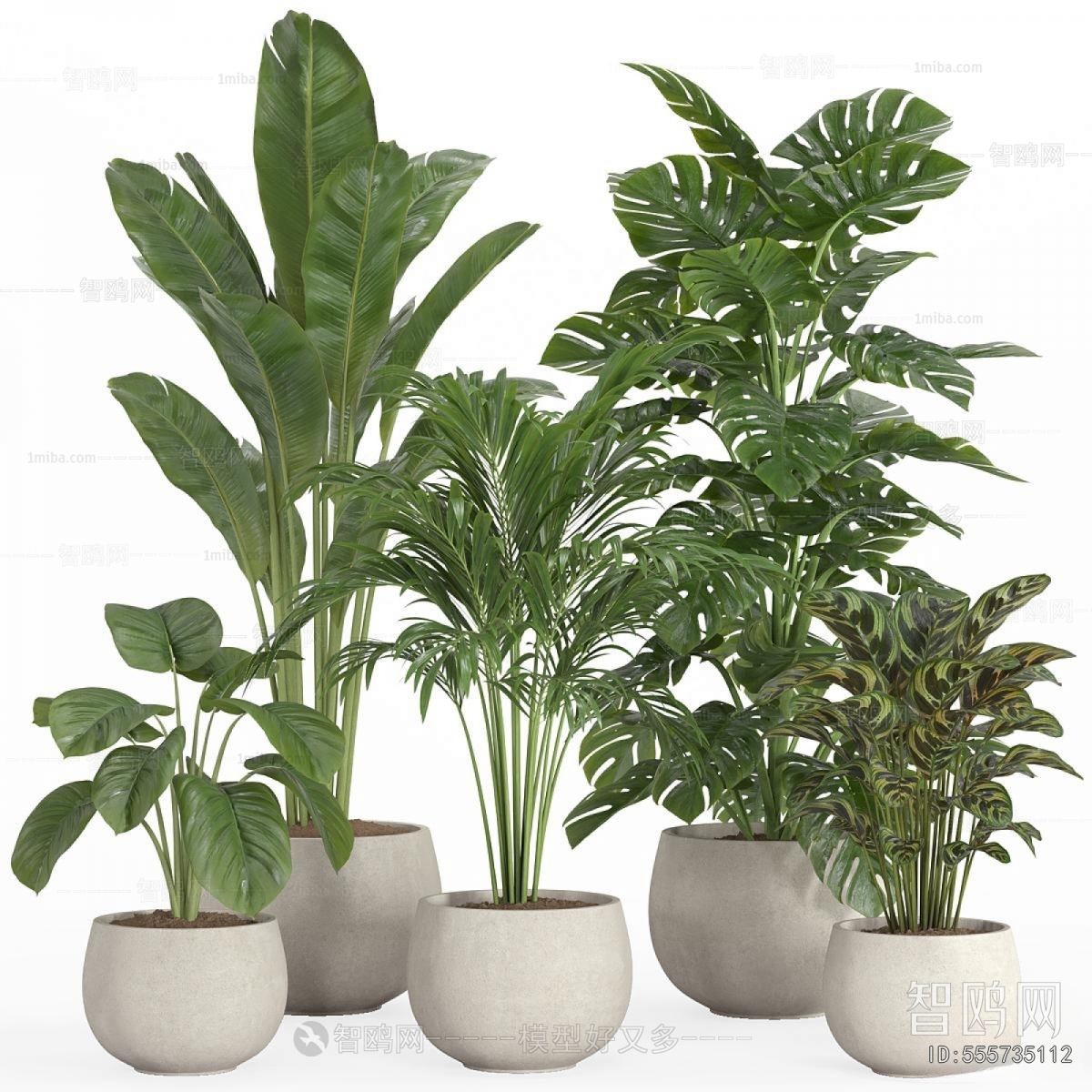 Modern Ground Green Plant Potted Plants