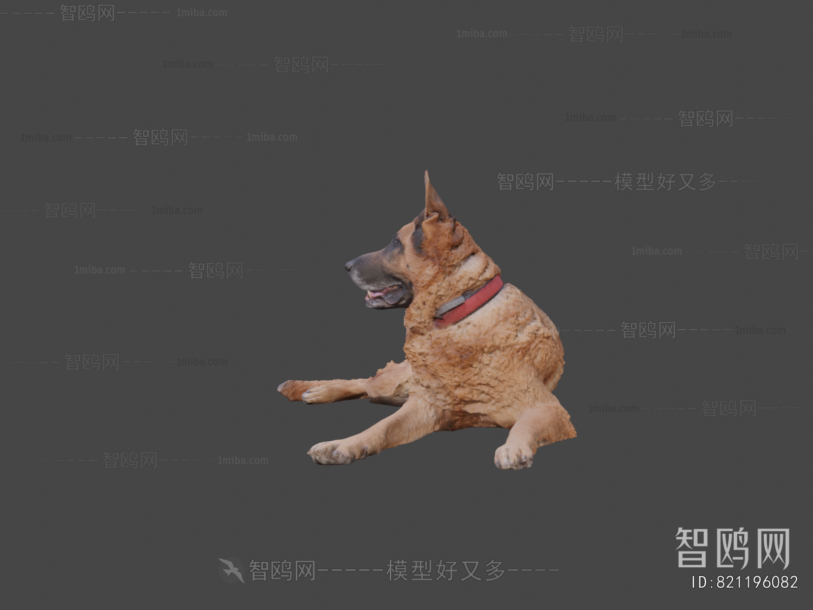 Modern Animal Dog