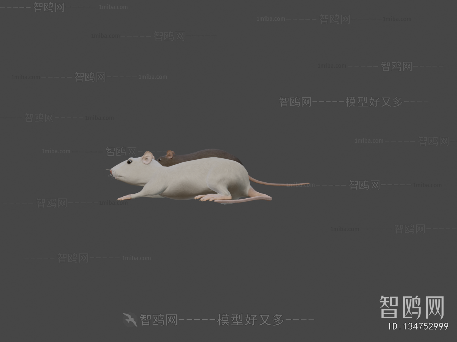 Modern Mammal