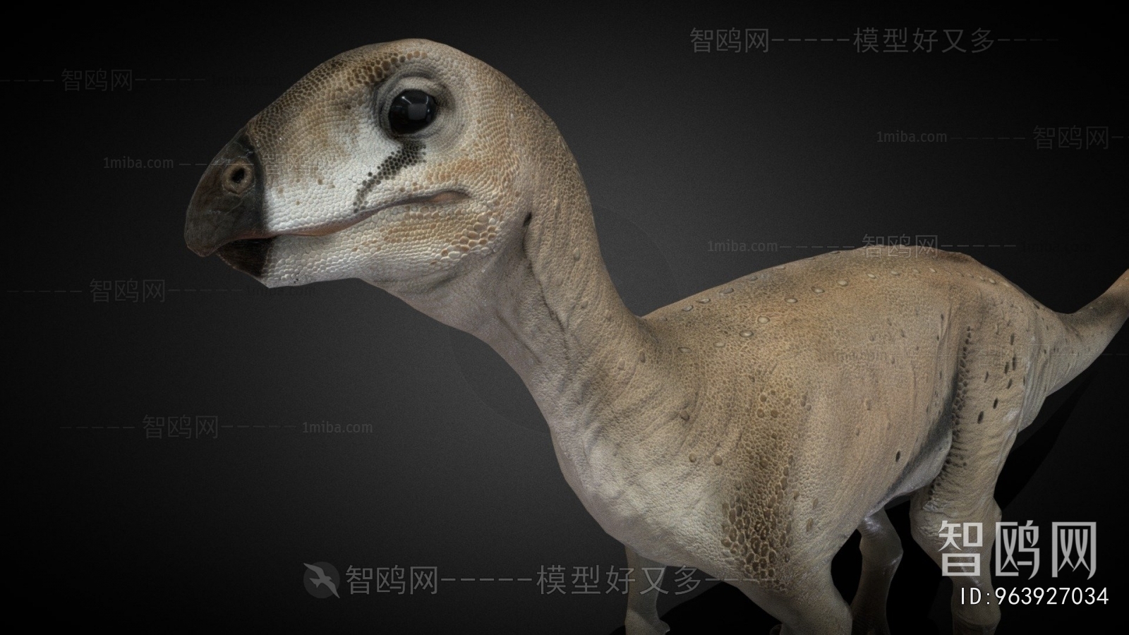 Modern Mammal