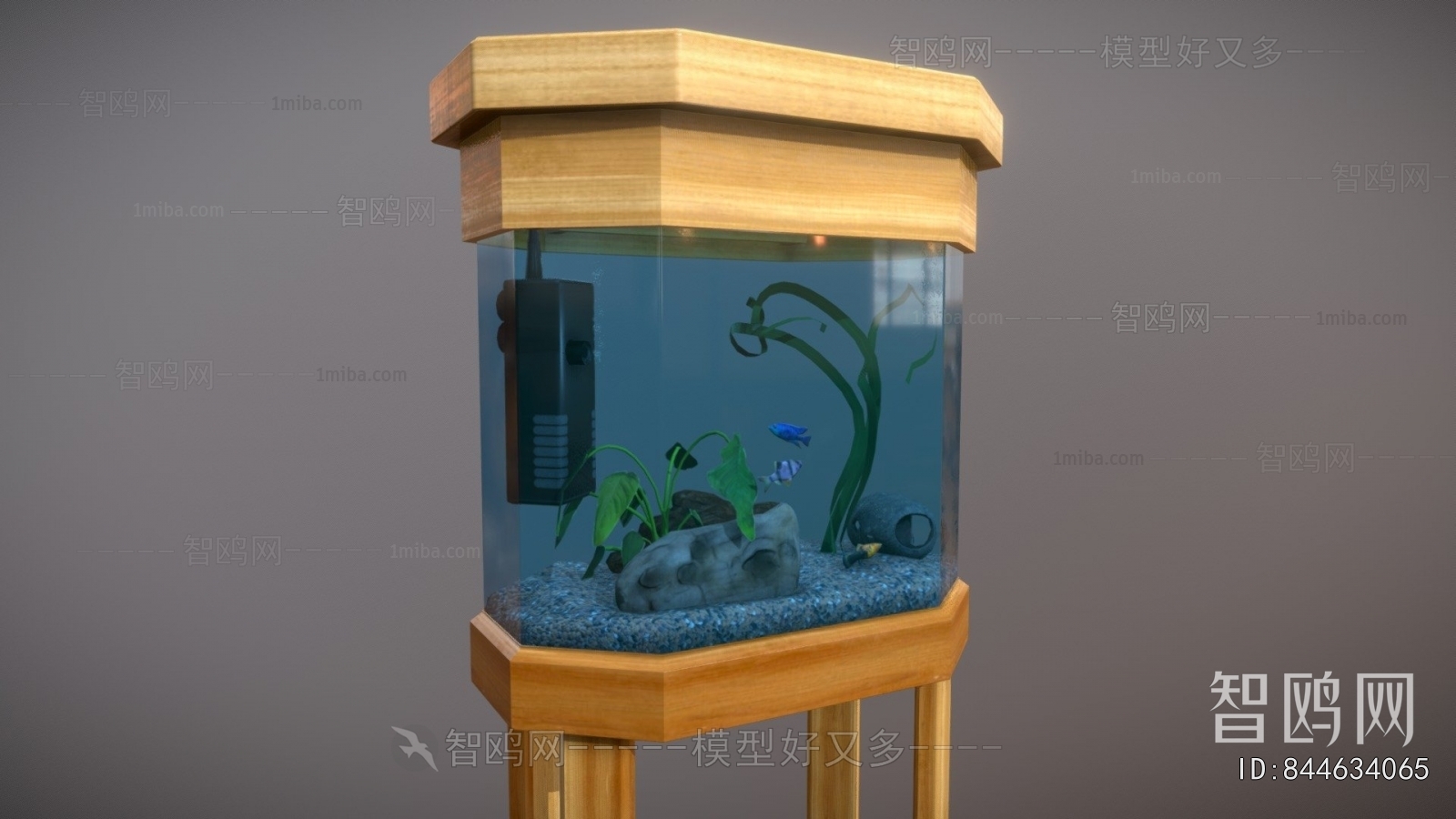 Modern Fish Tank