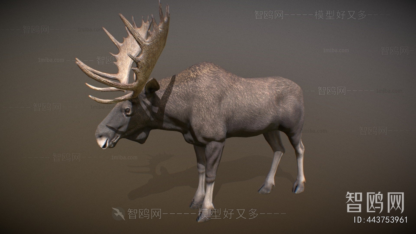 Modern Mammal