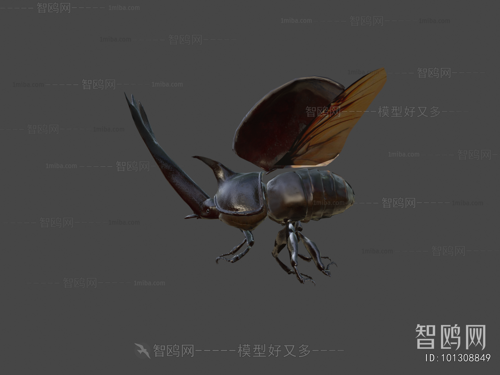 Modern Animal