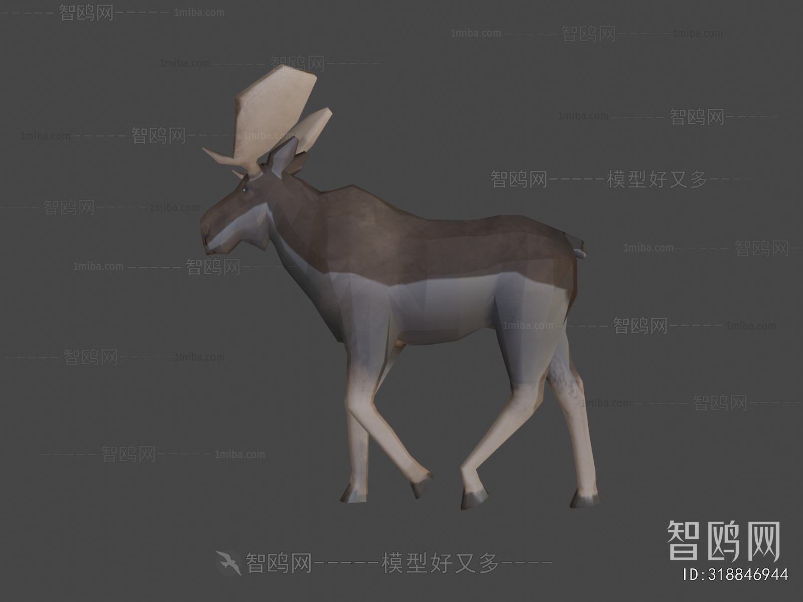 Modern Animal