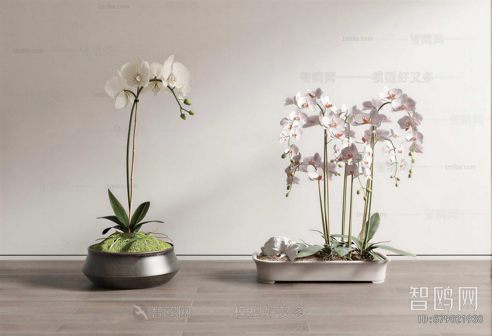 Modern Bonsai