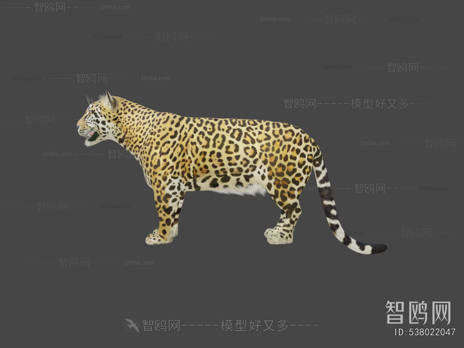 Modern Animal