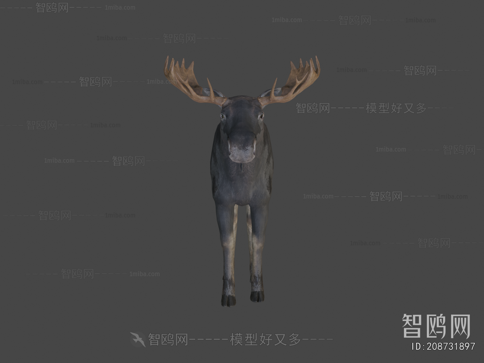 Modern Animal
