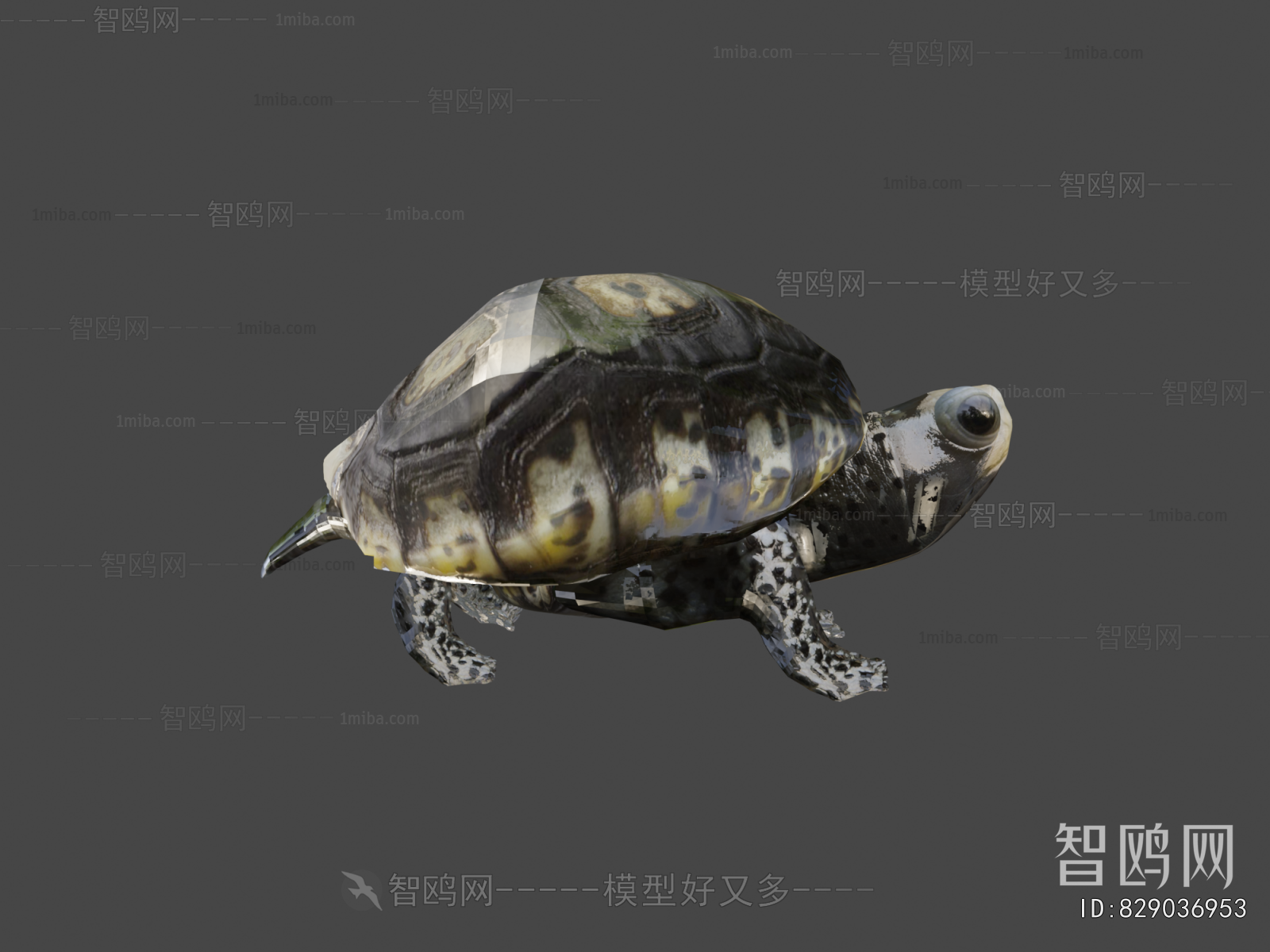 Modern Reptile