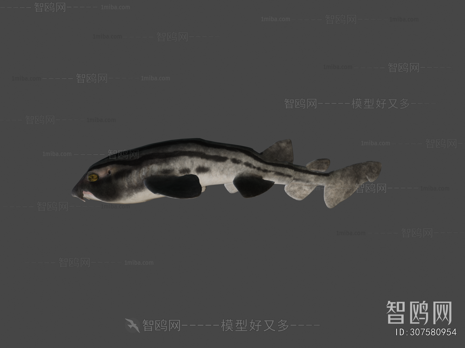 Modern Aquatic Animals