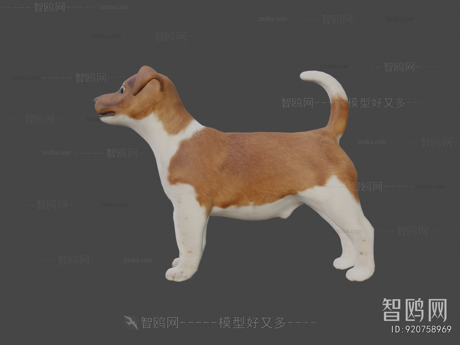 Modern Animal