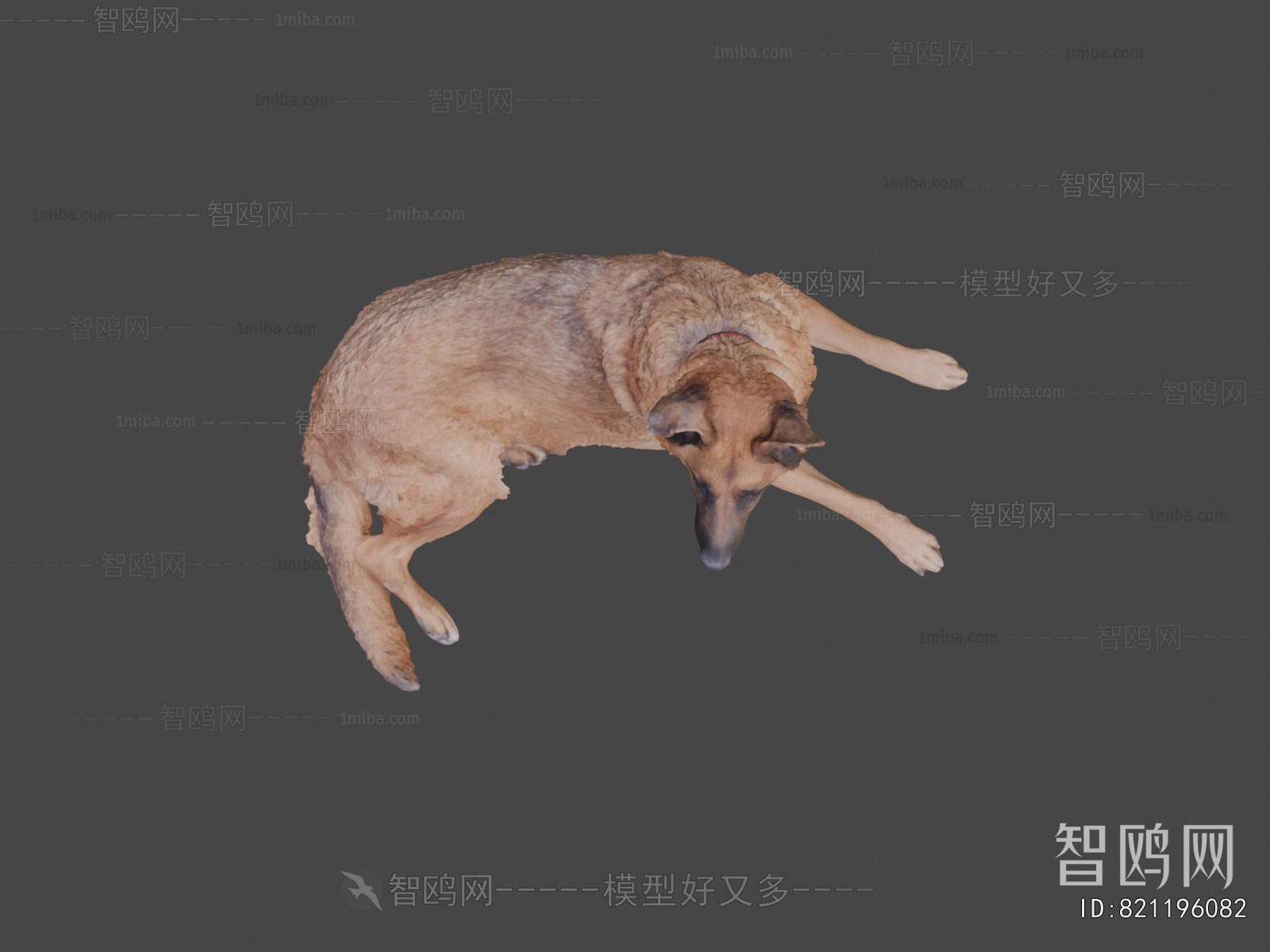 Modern Animal Dog