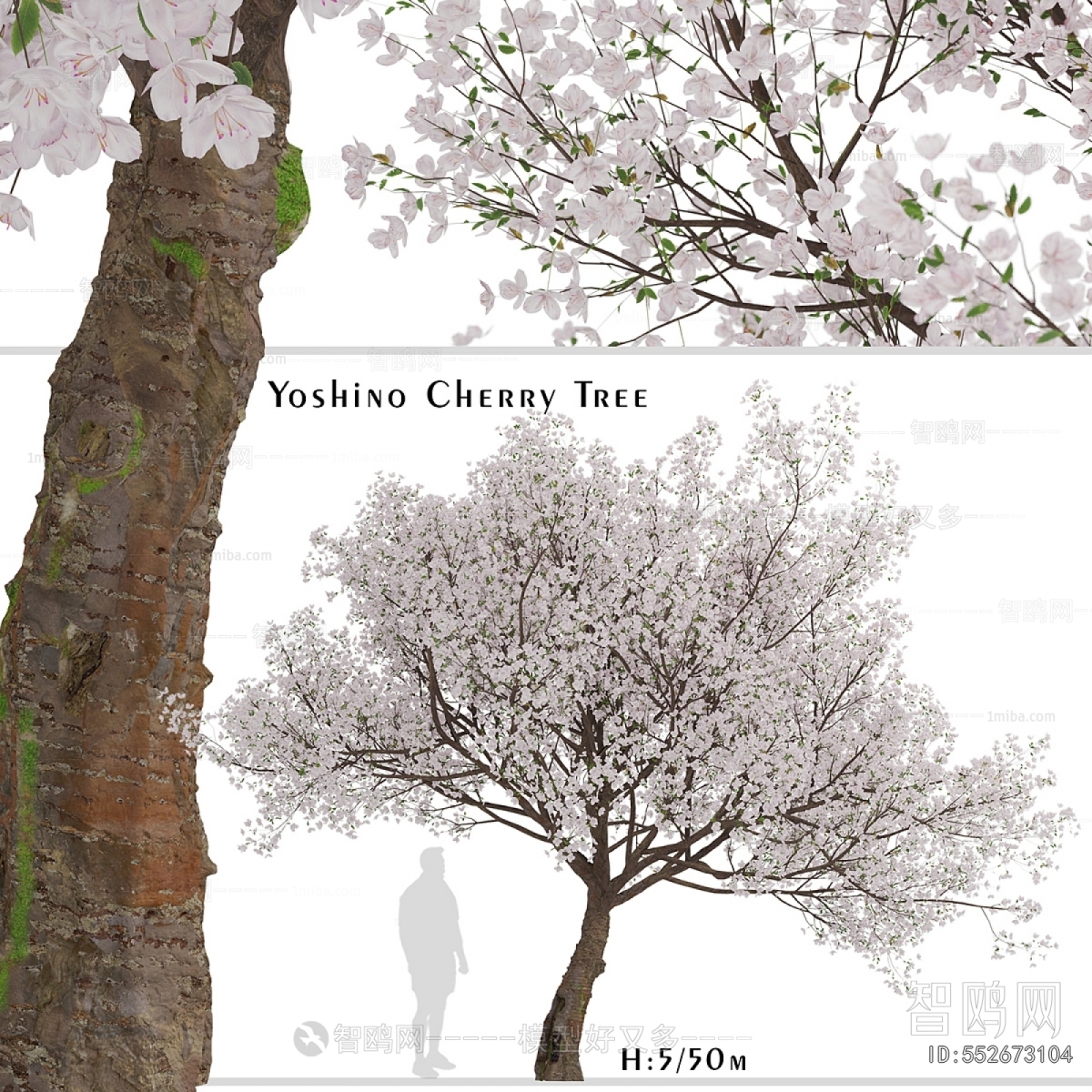 Modern Tree