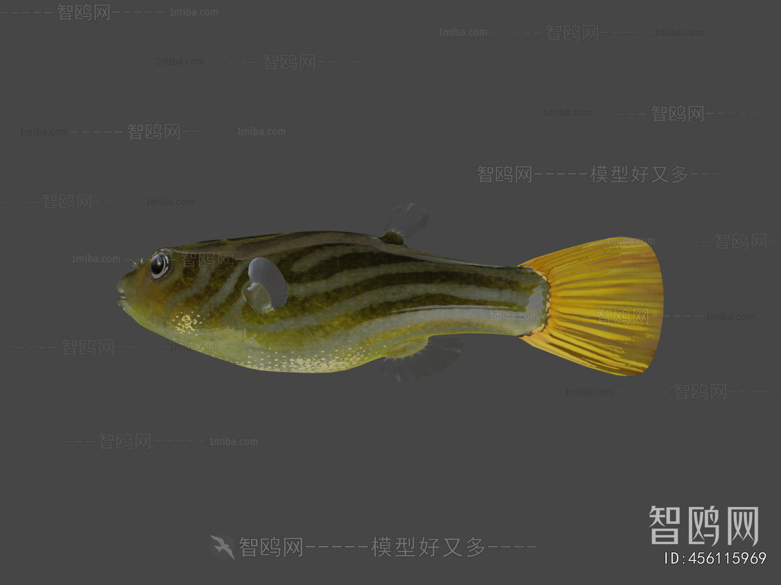 Modern Aquatic Animals