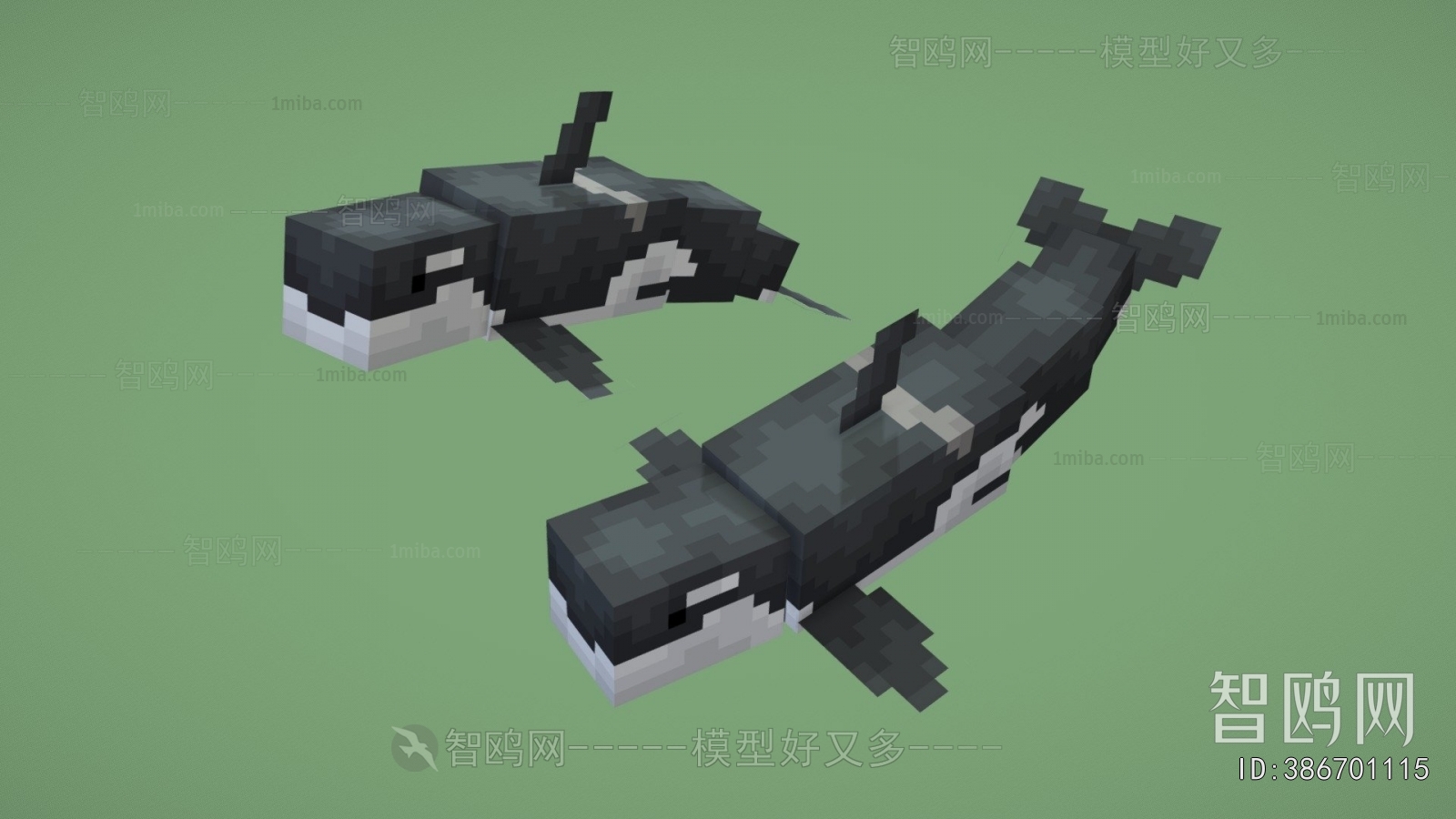 Modern Animal