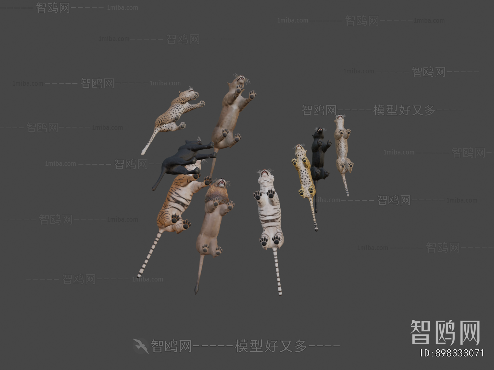 Modern Animal