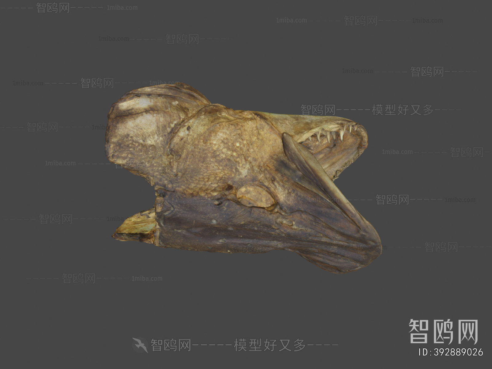 Modern Medical Equipment