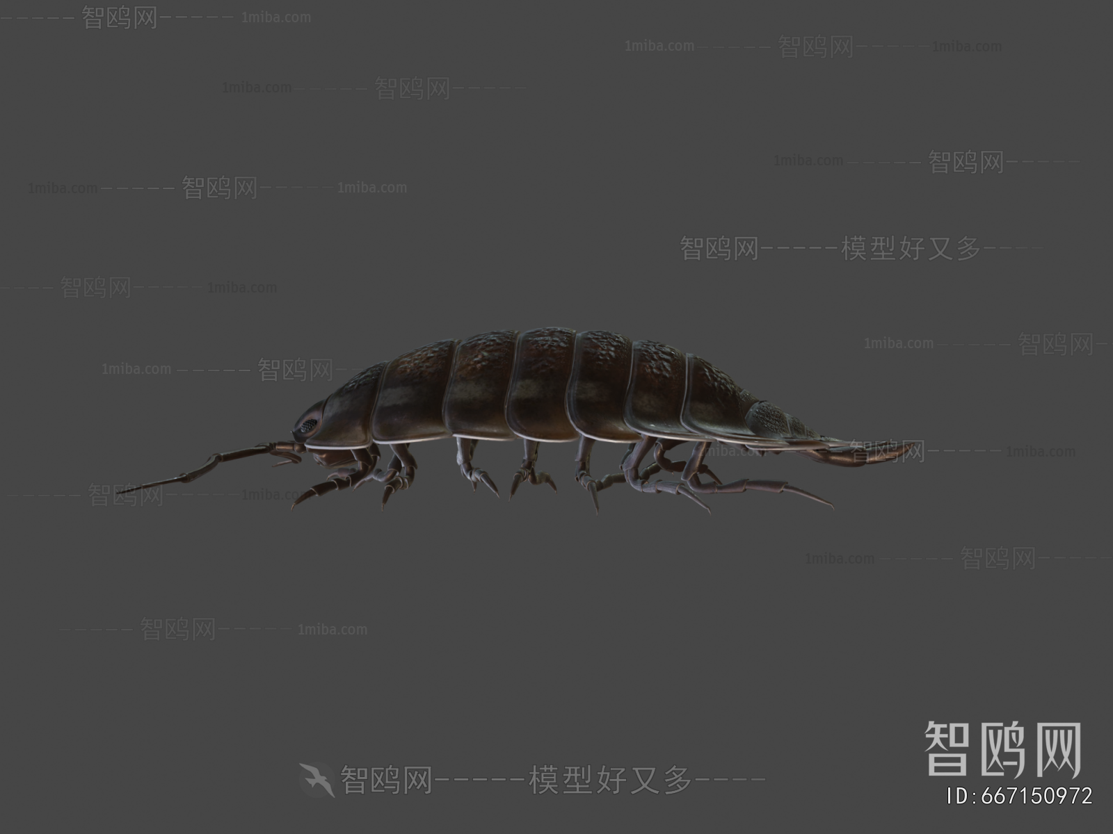 Modern Reptile