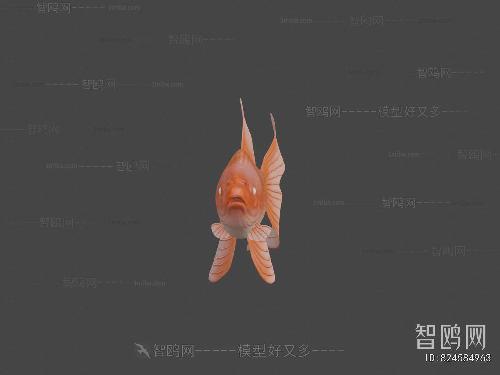 Modern Aquatic Animals