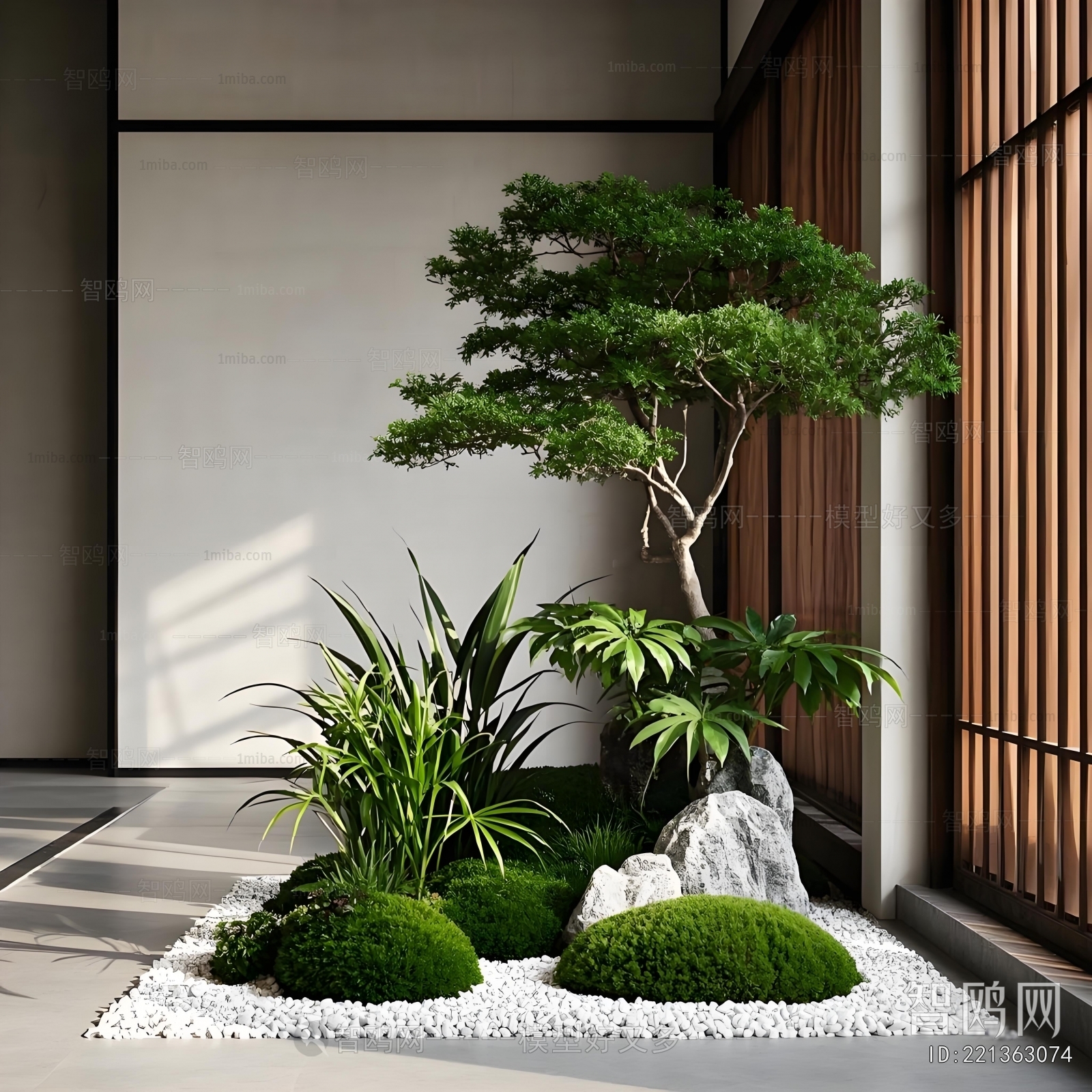Plant Leaves