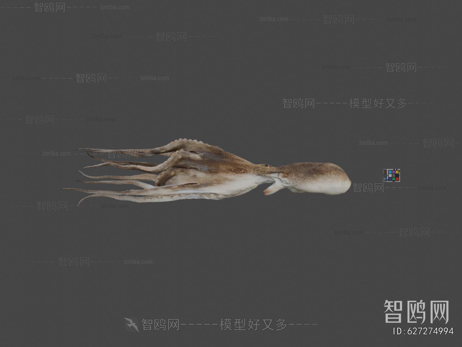 Modern Aquatic Animals