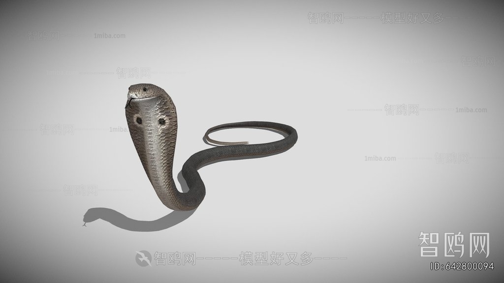 Modern Reptile