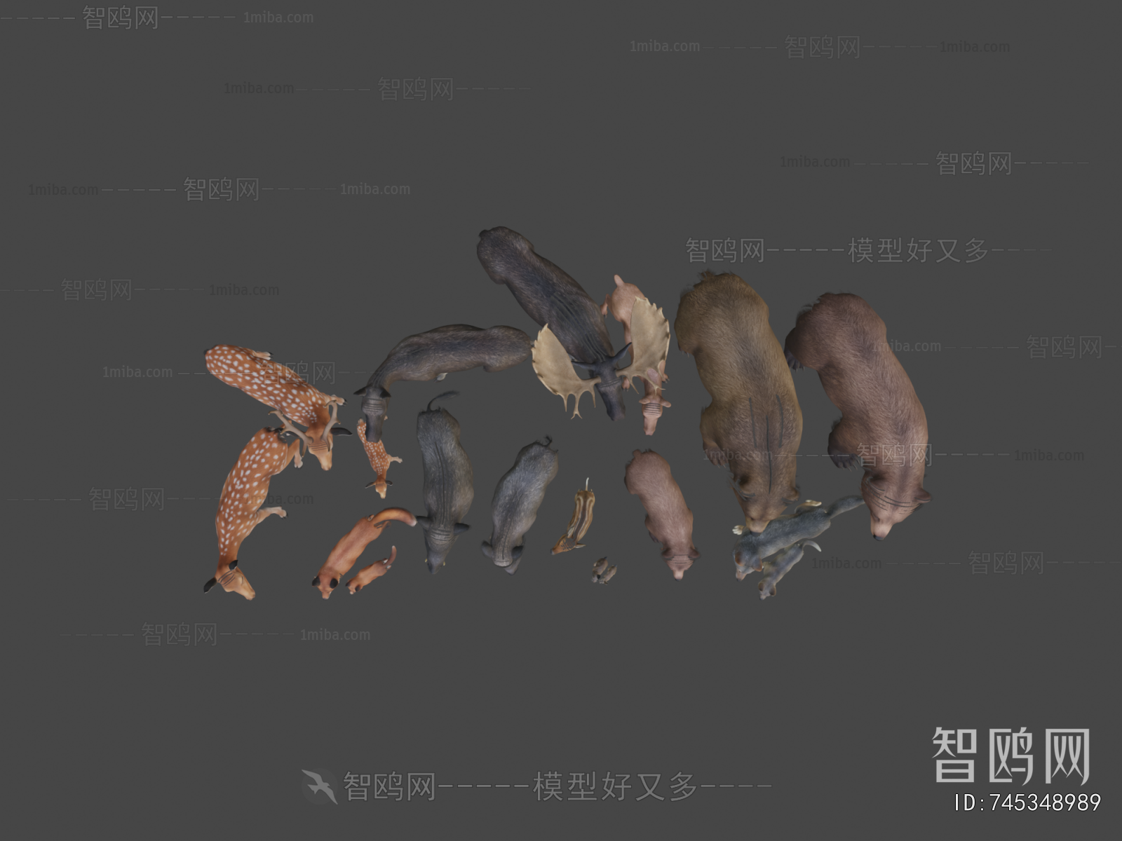 Modern Animal