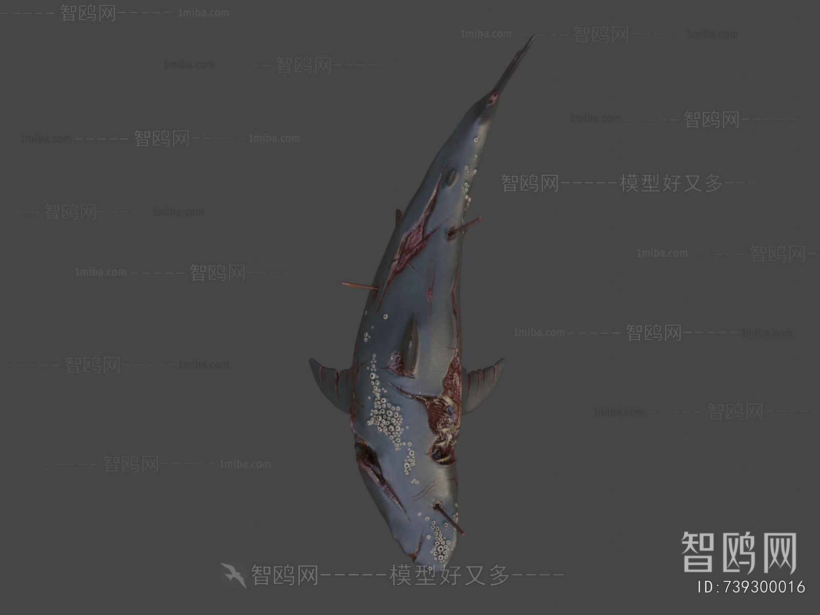 Modern Aquatic Animals