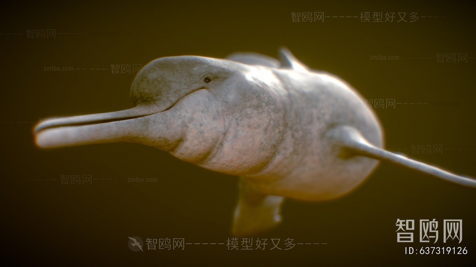 Modern Animal