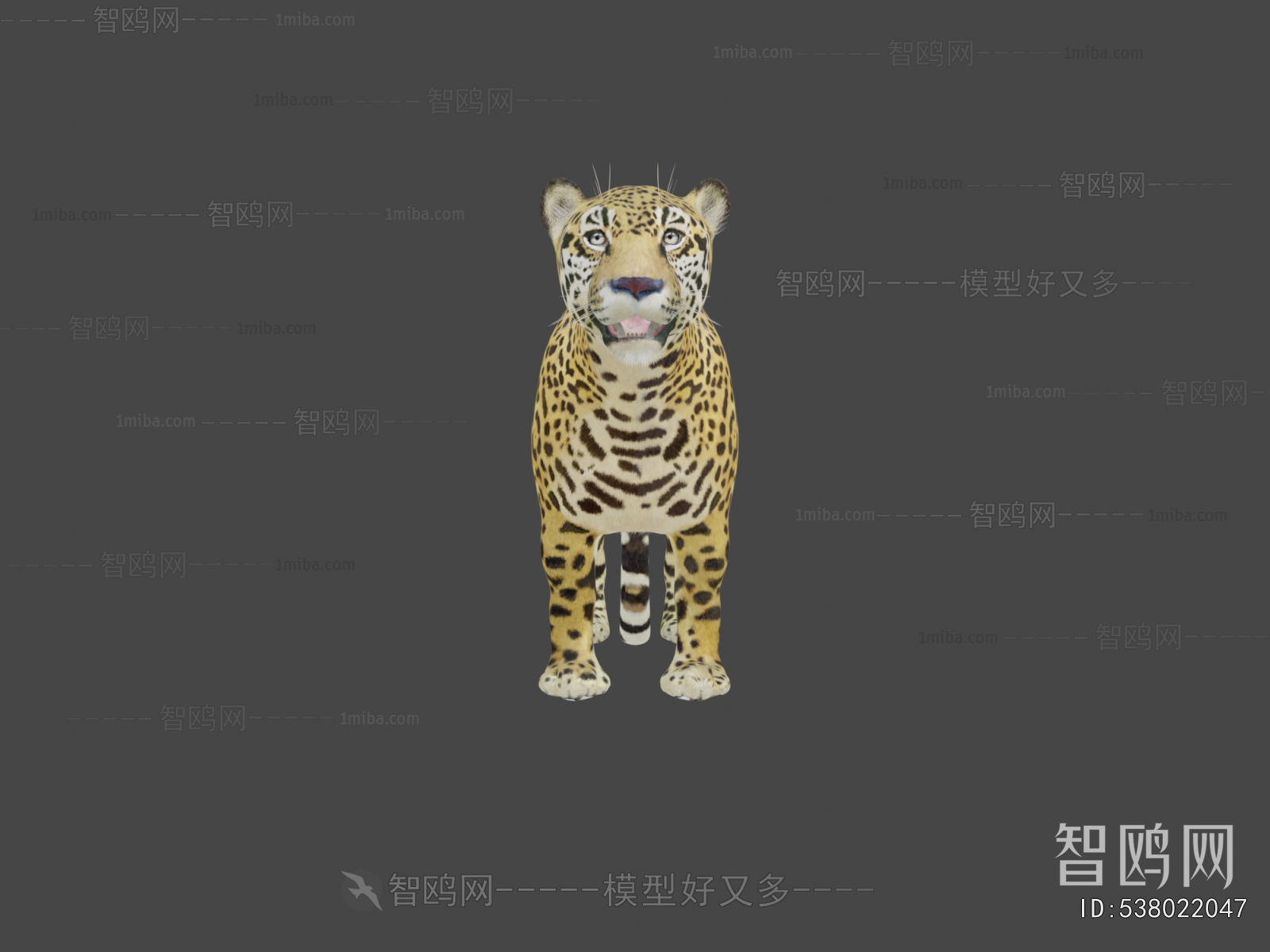 Modern Animal