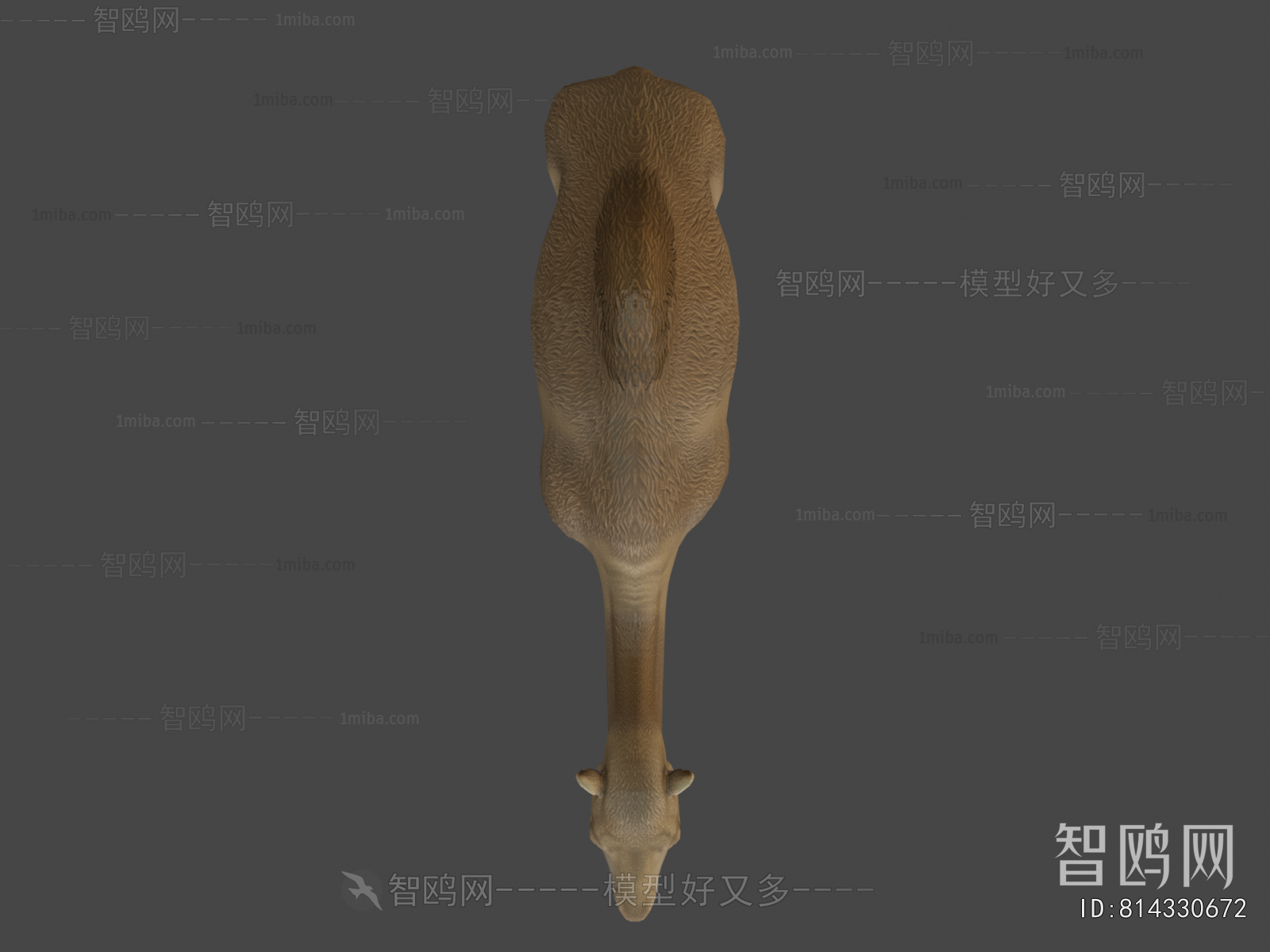Modern Mammal