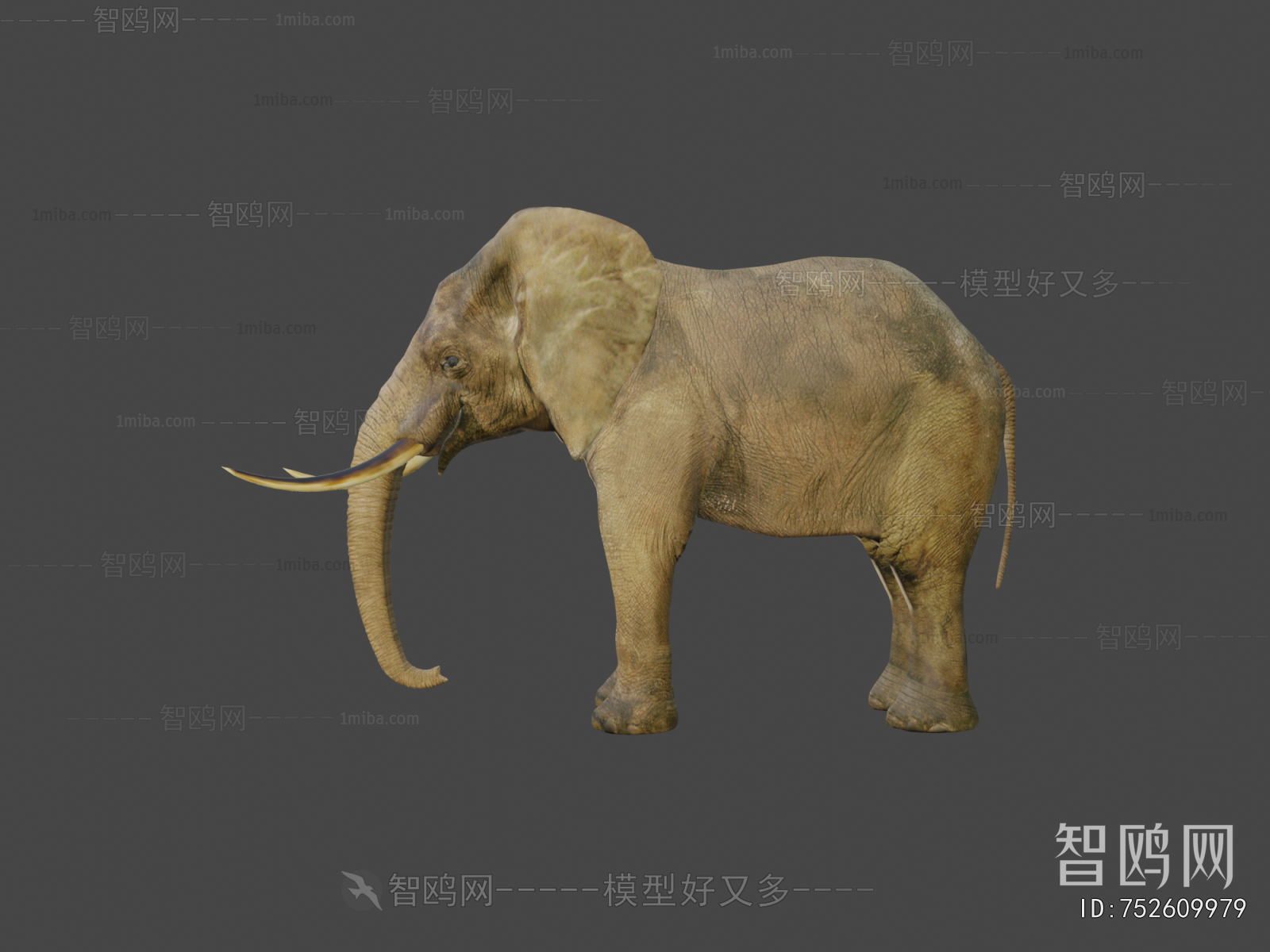 Modern Mammal