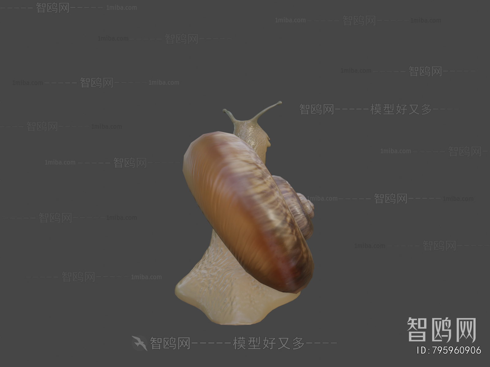 Modern Animal