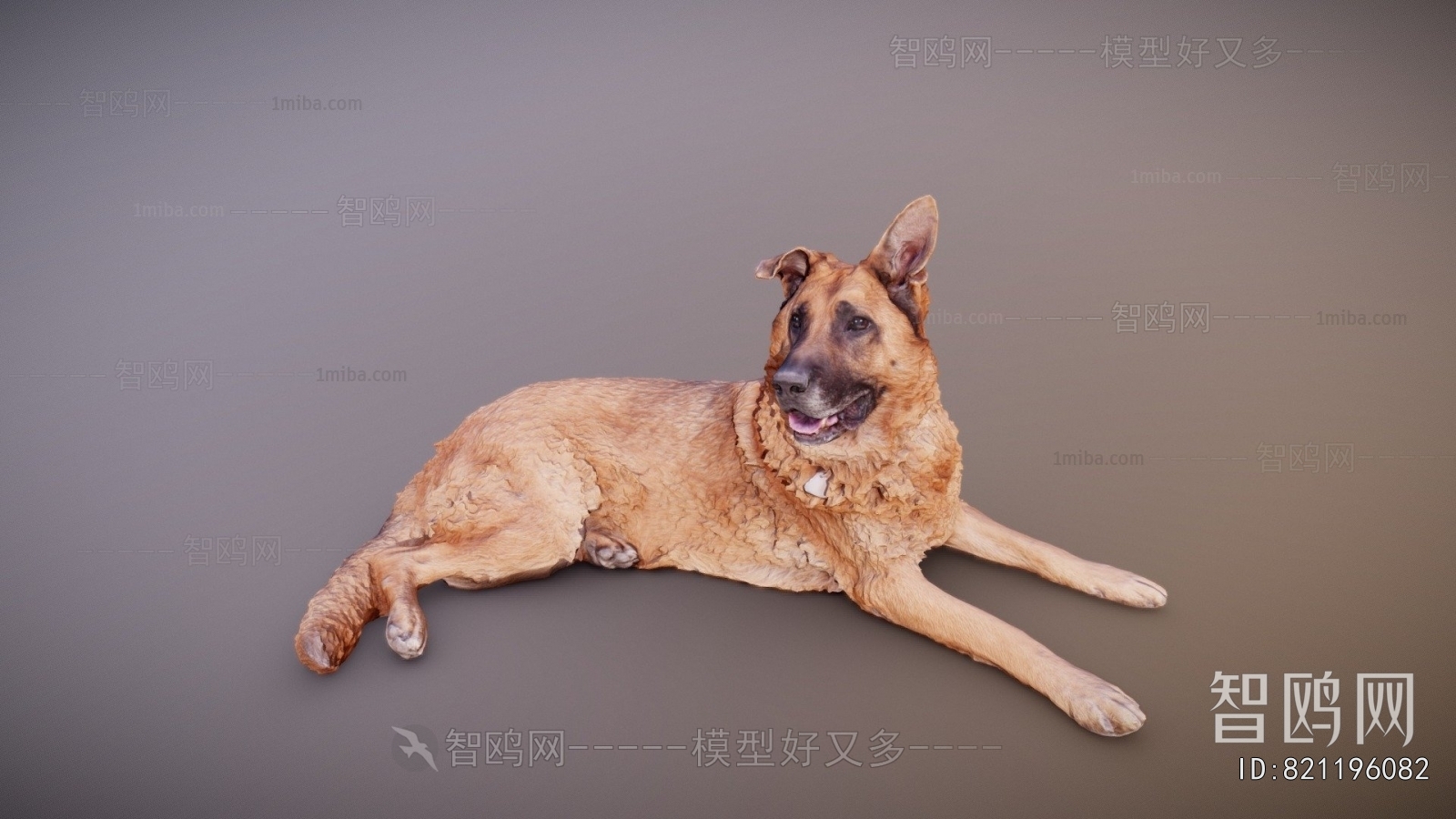 Modern Animal Dog