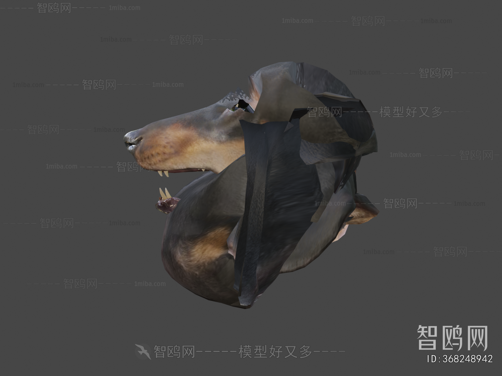 Modern Animal Dog