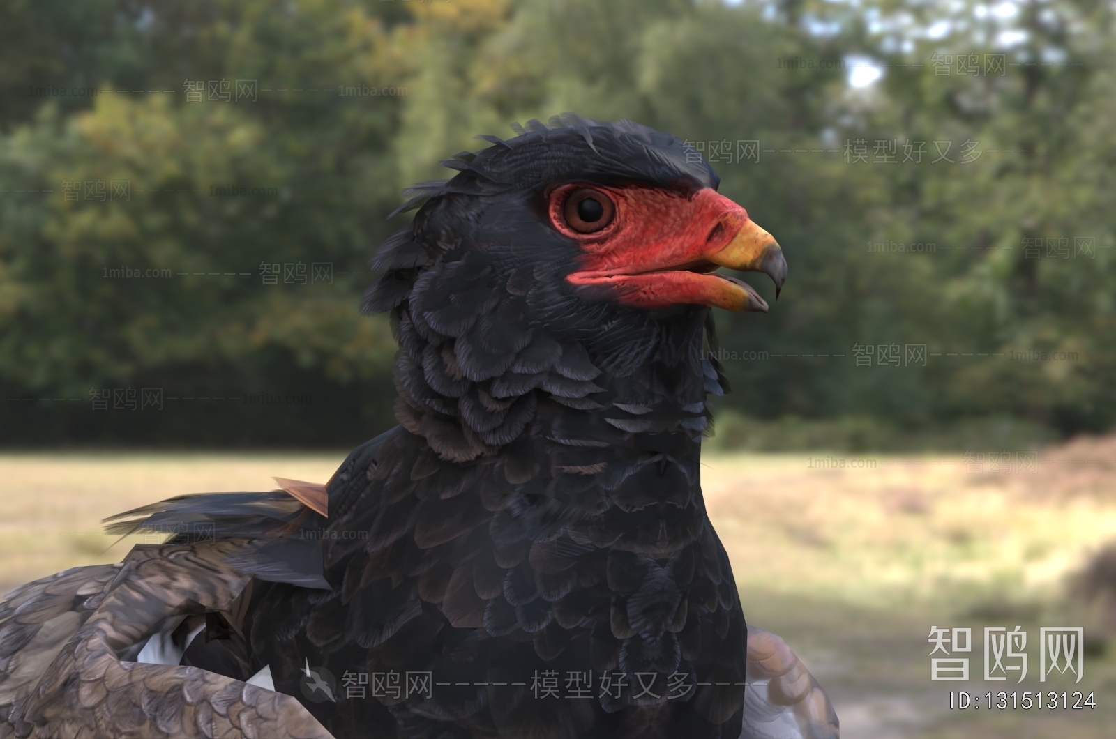 Modern Flying Animals